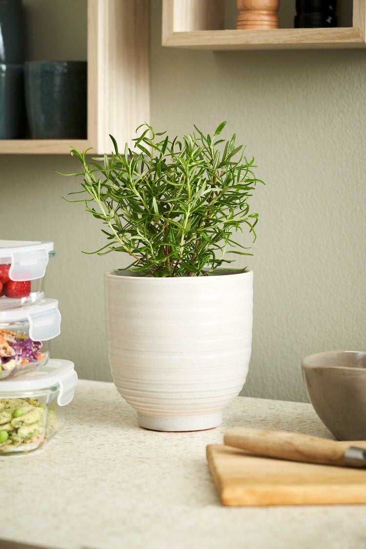 Flowerpot