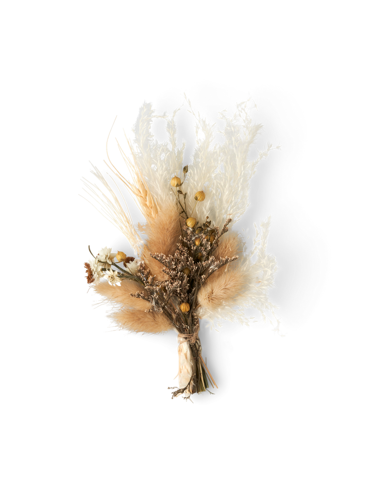 Dried flowers for DIY