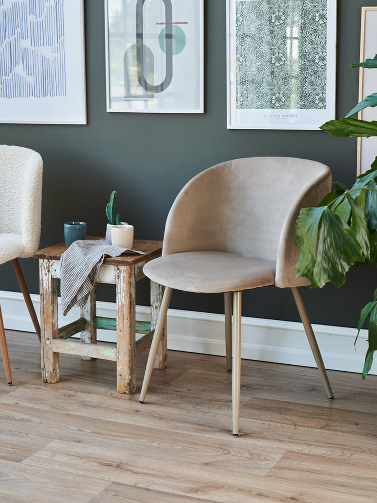 ANNA Velvet dining chair with arm rest