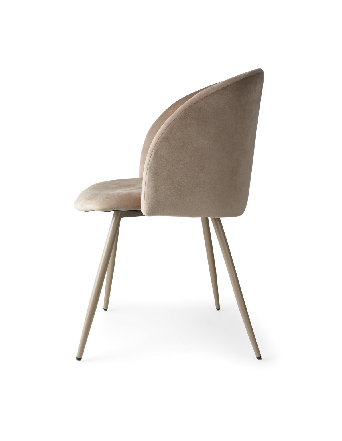 ANNA Velvet dining chair with arm rest