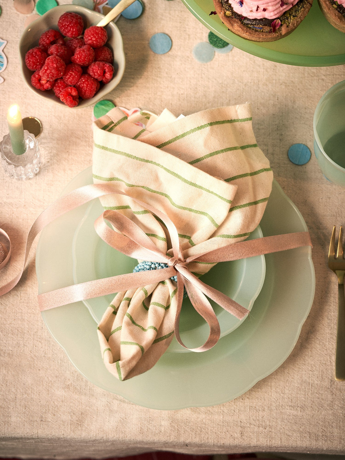 Reusable plastic plates 4-pack