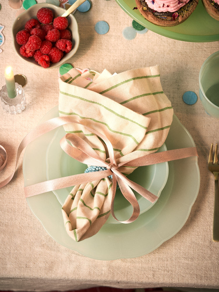 Reusable plastic plates 4-pack