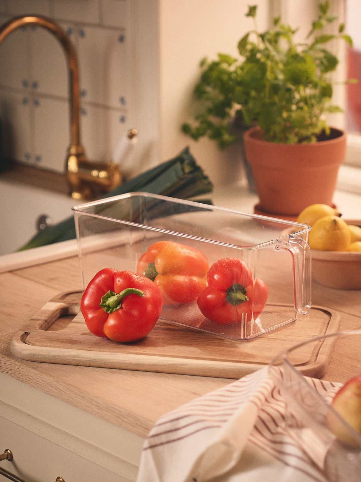 Fridge storage