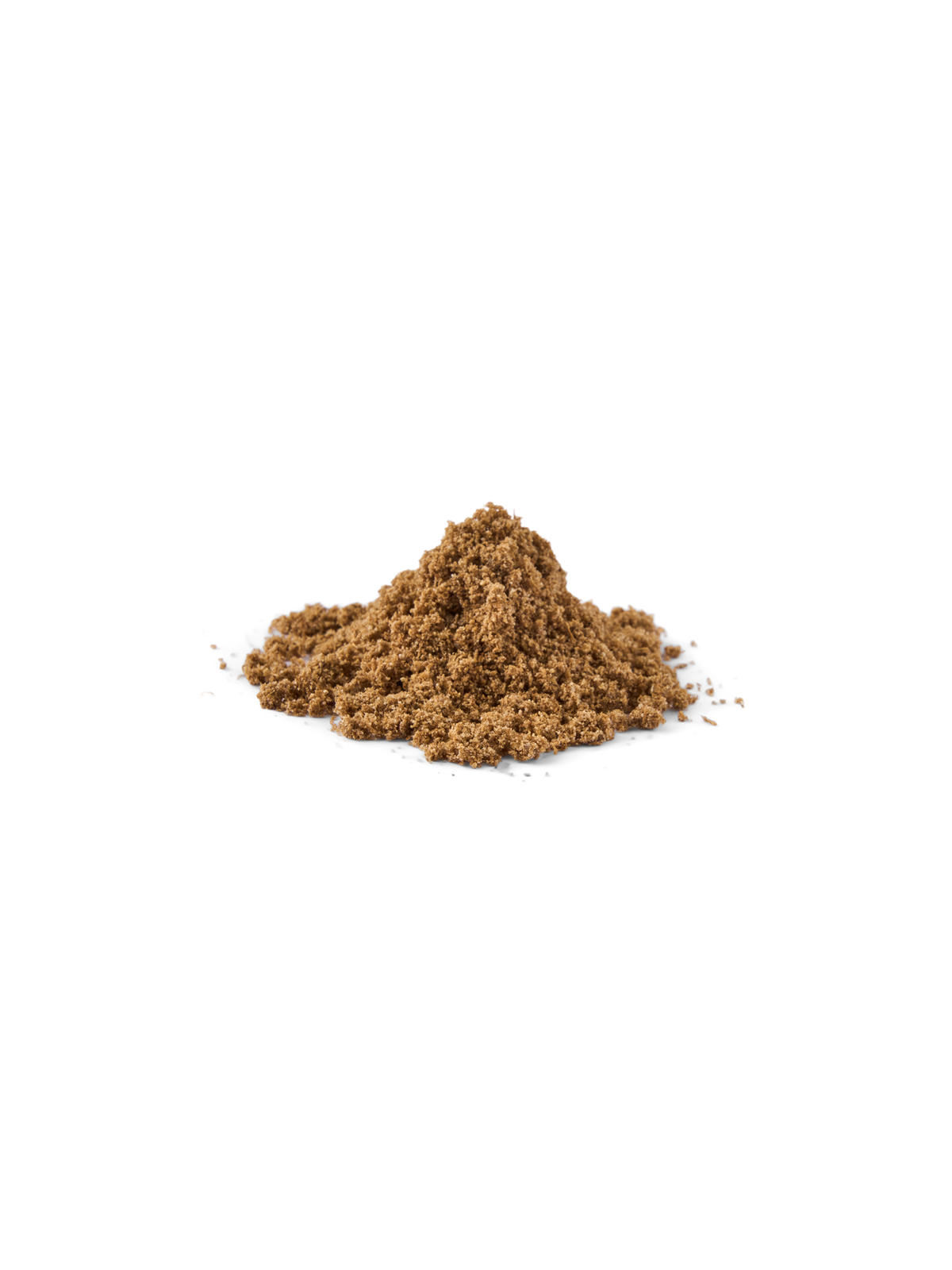 Coriander