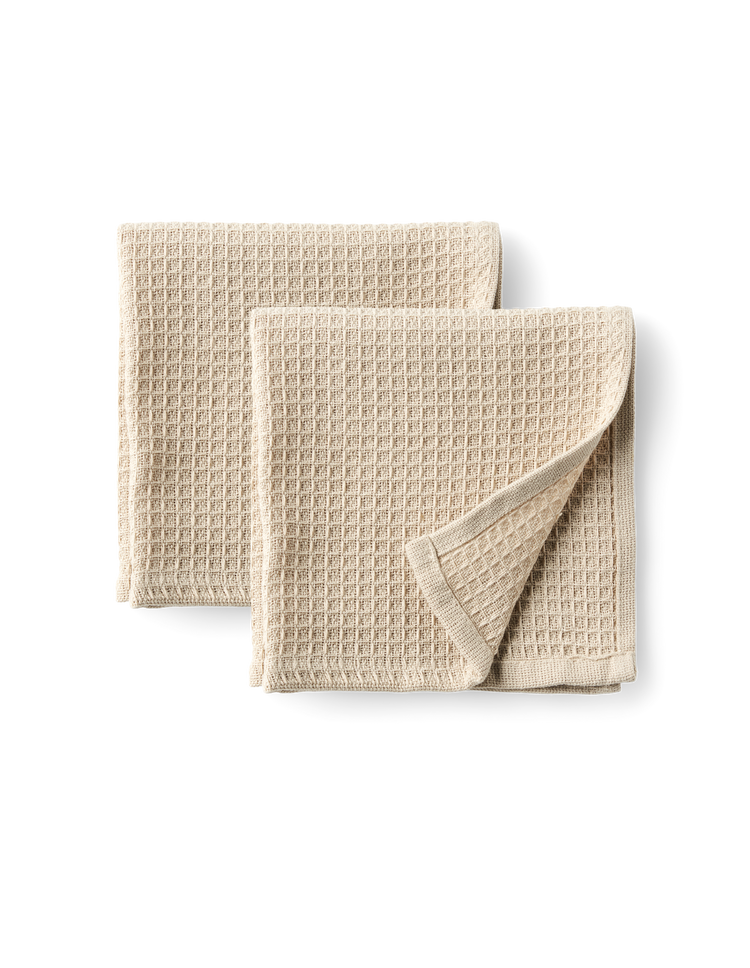 Dish cloths 2-pack