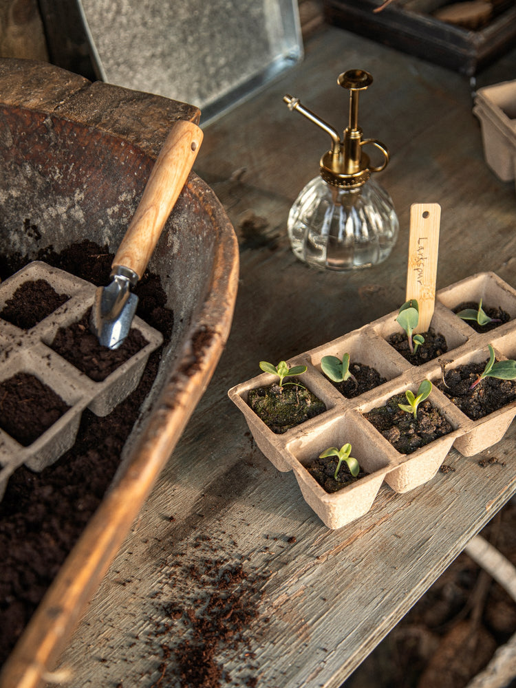 Seedling tray