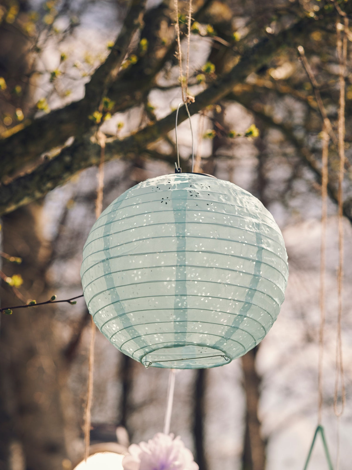 Solar lantern