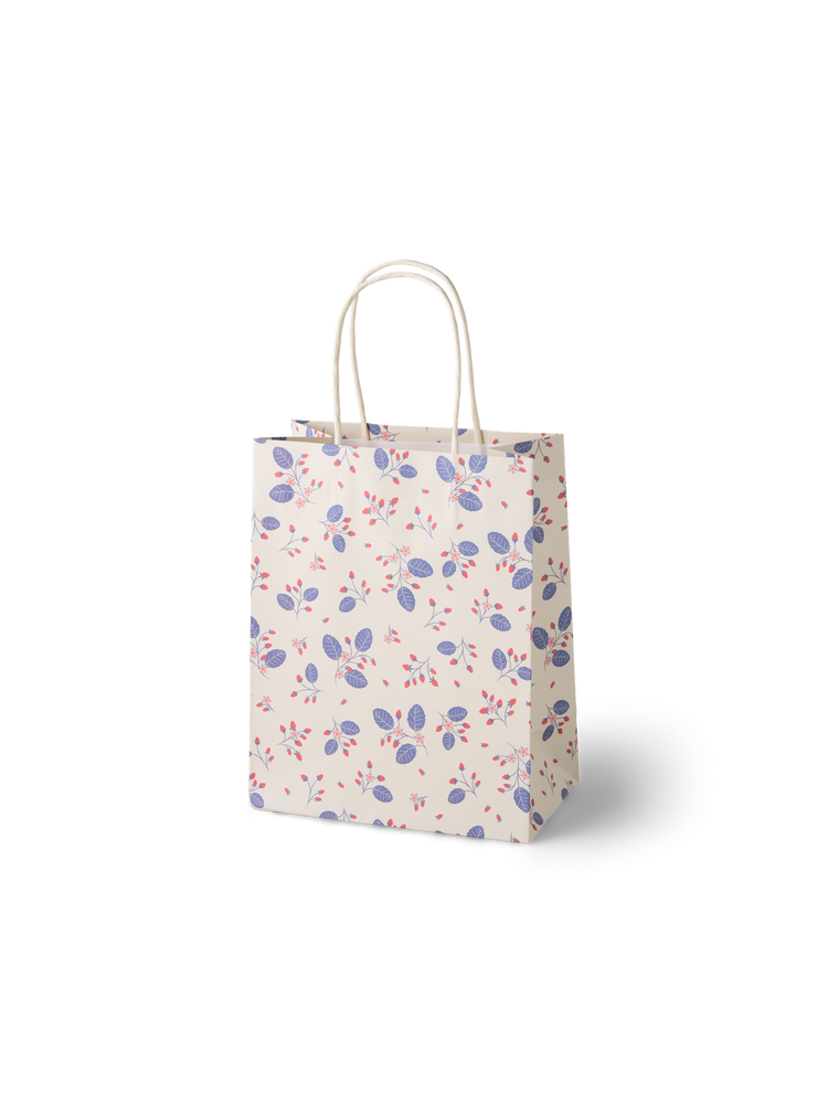 Gift bag