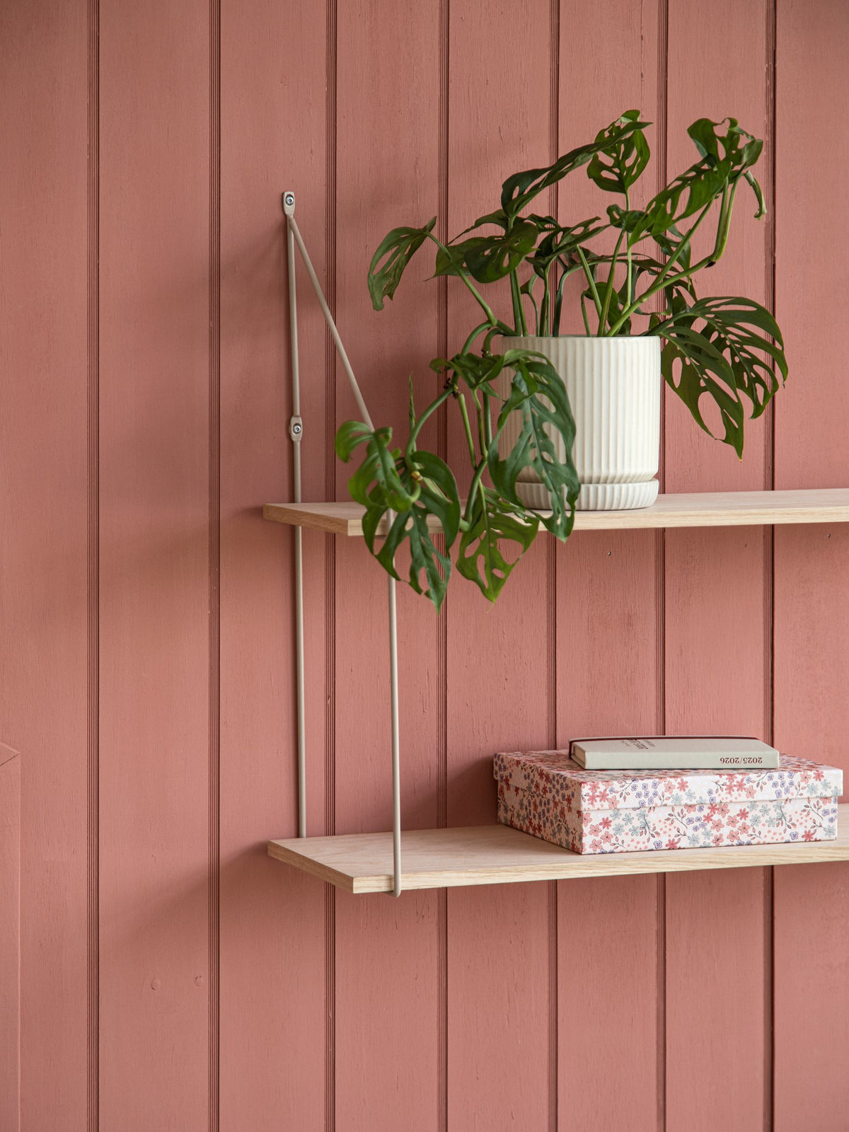 Shelf