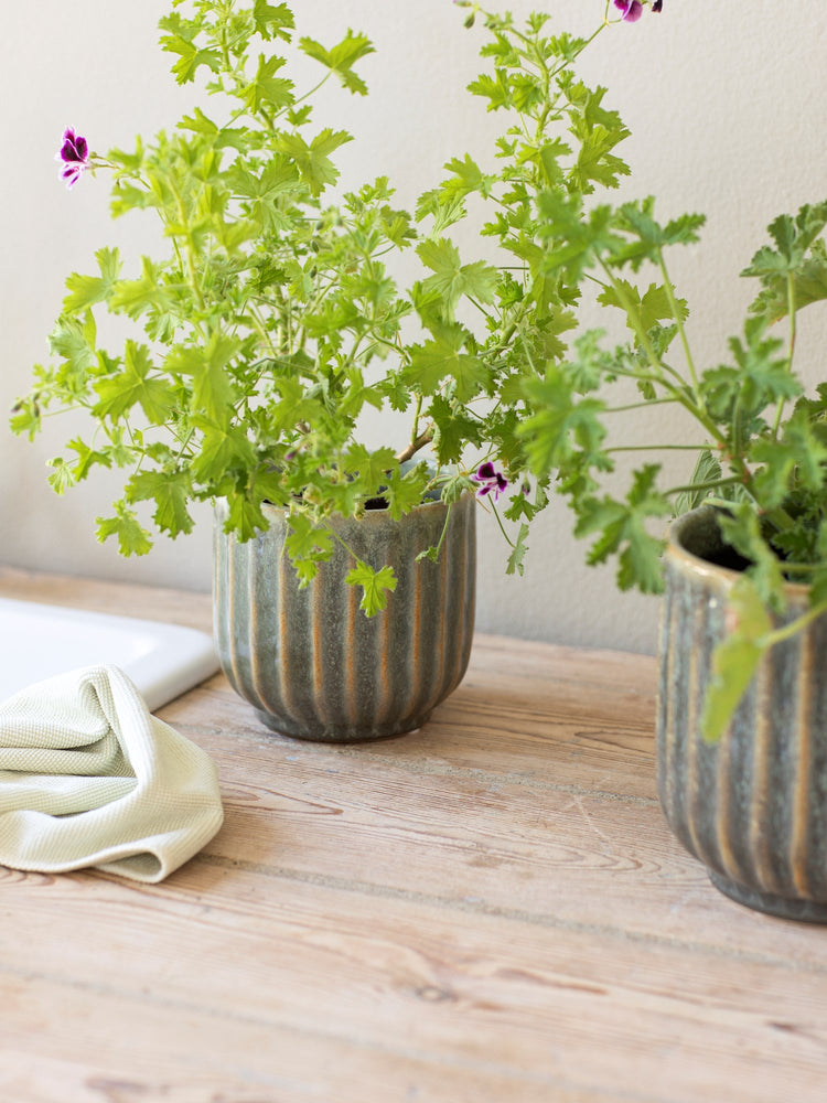 Flowerpot