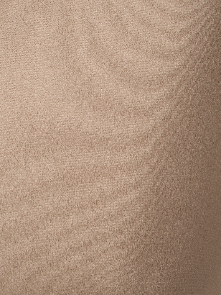 ANNA Velvet dining chair with arm rest