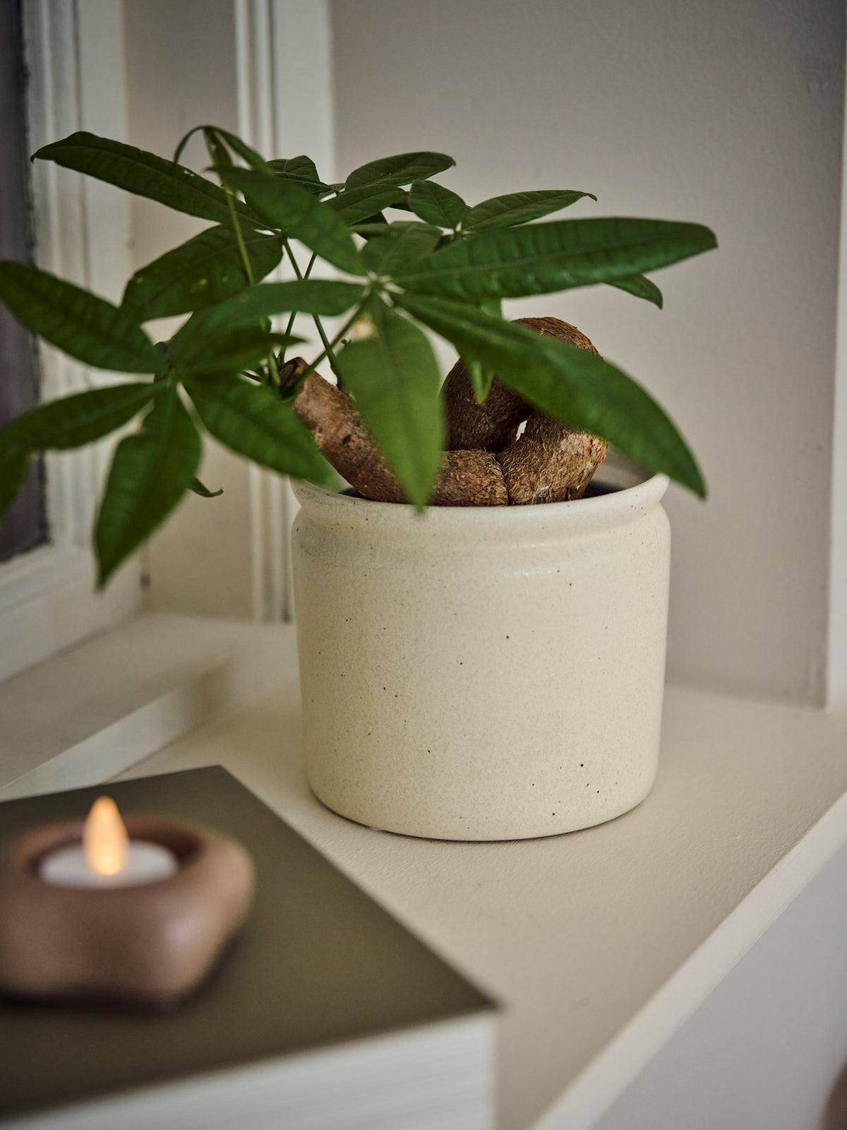 Flowerpot Ø14.2