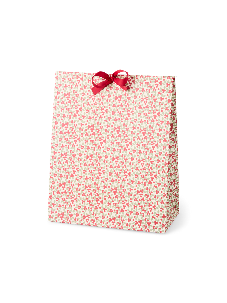 Envelope gift bag