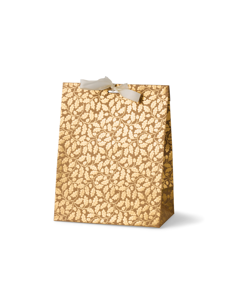 Gift bag with ribbon