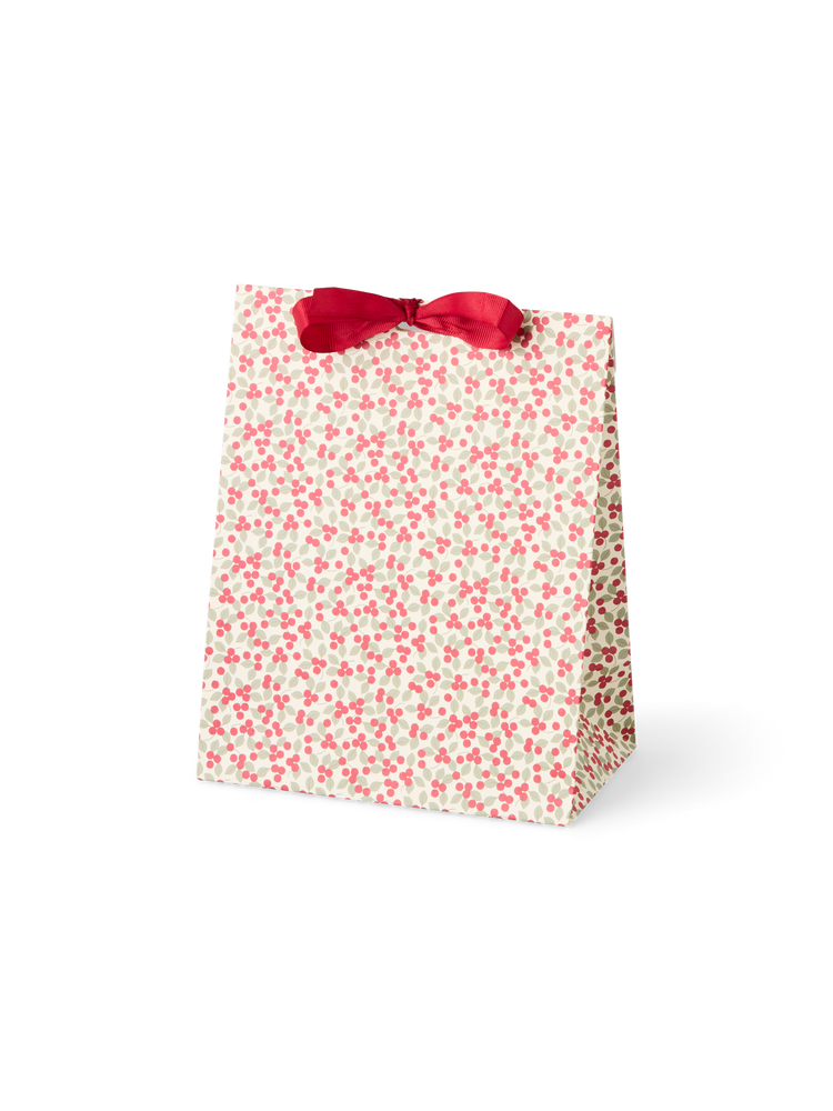 Gift bag with ribbon