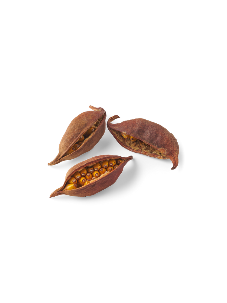 Seed pods