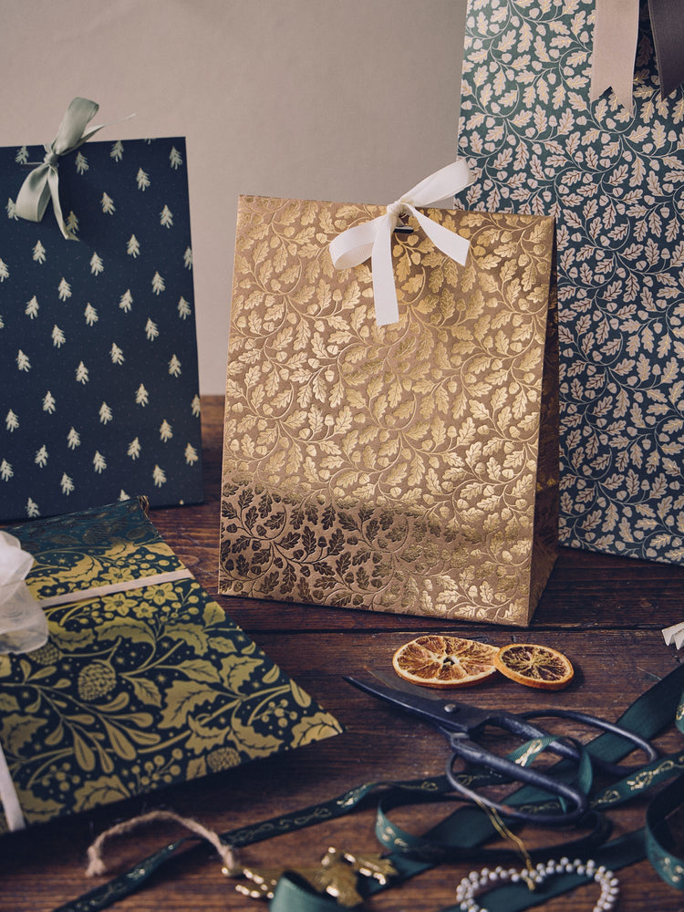 Gift bag with ribbon