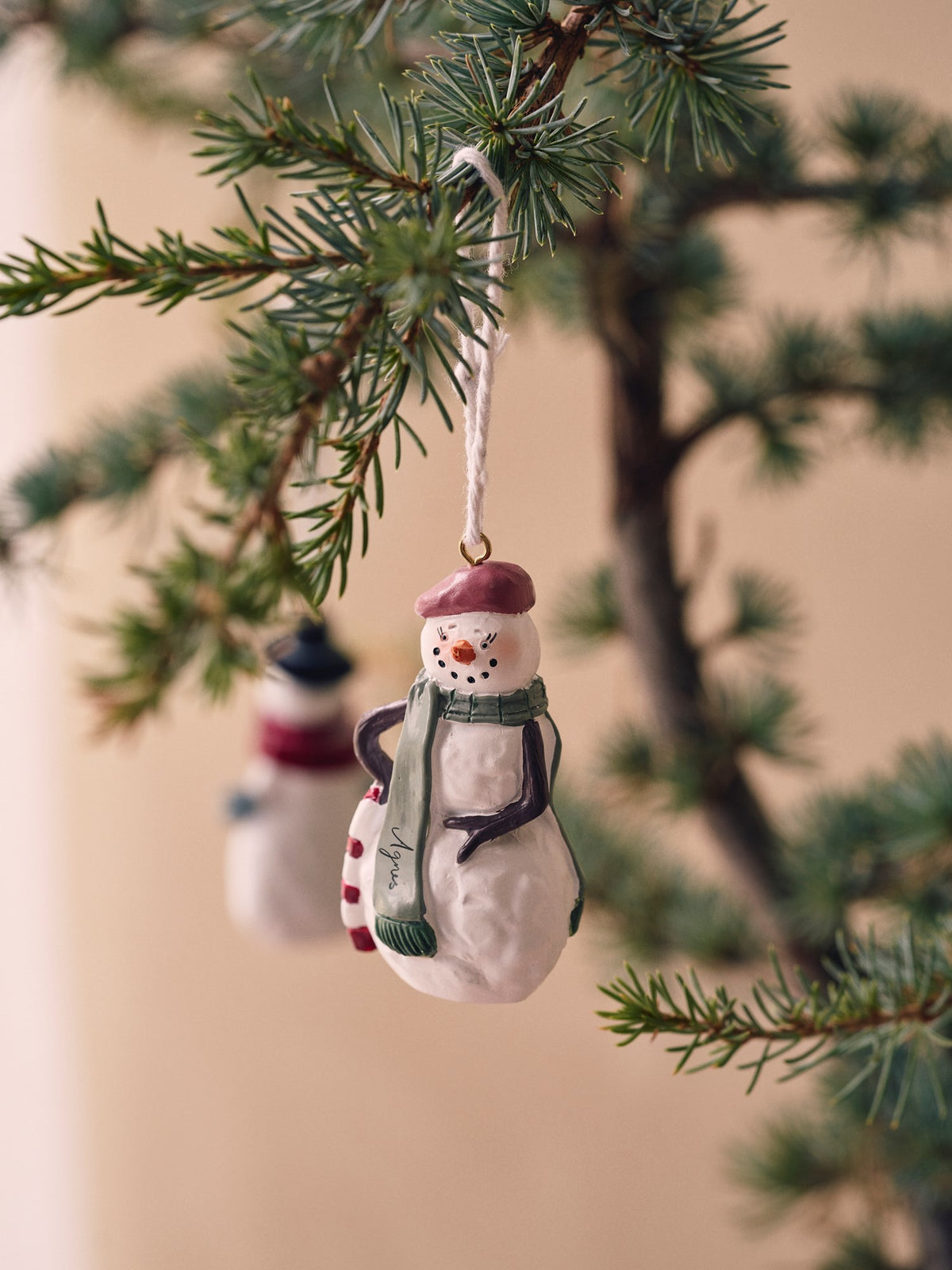 Annual ornament 2025