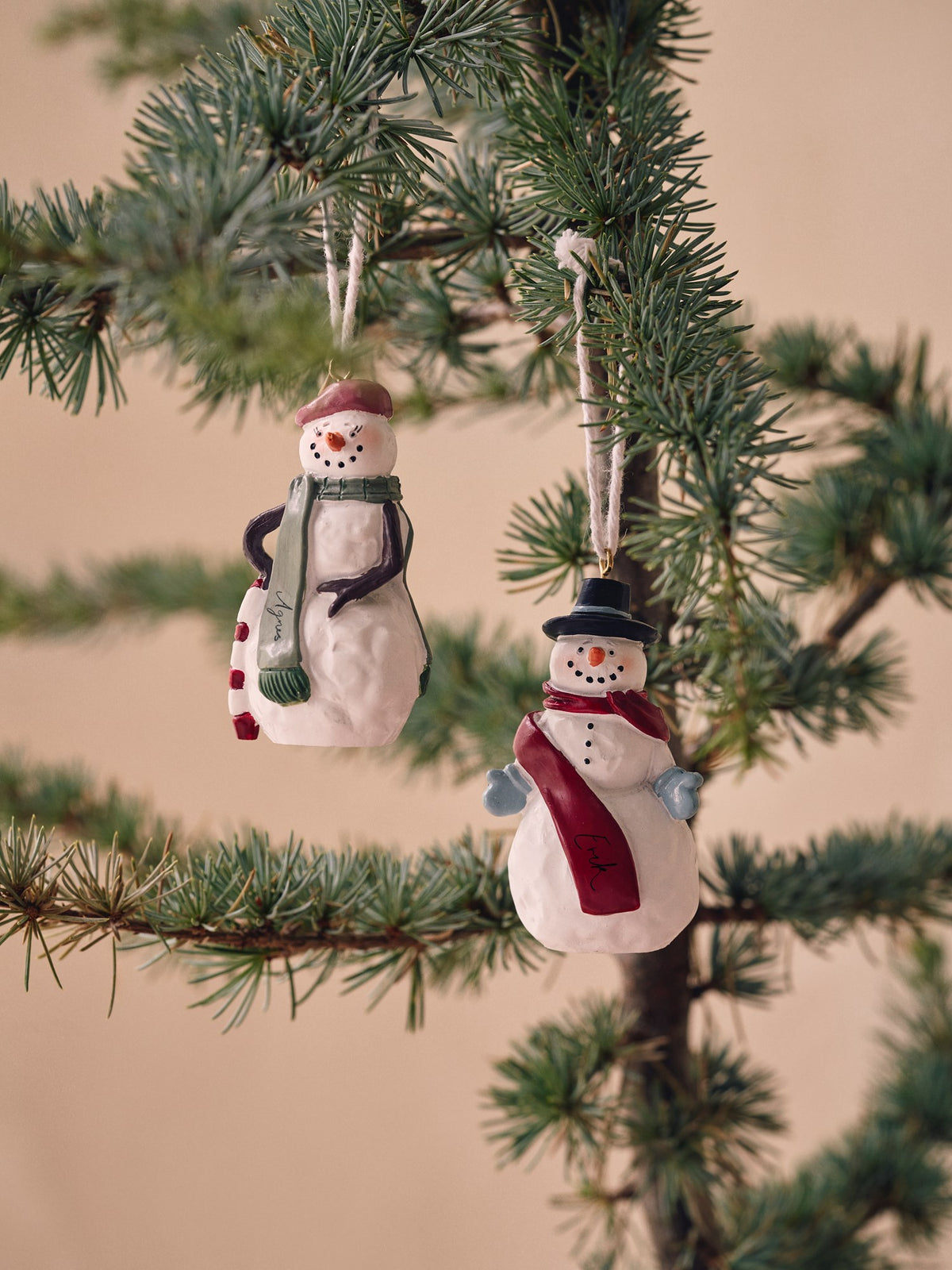 Annual ornament 2025