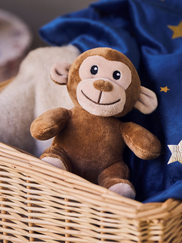 Soft toy monkey