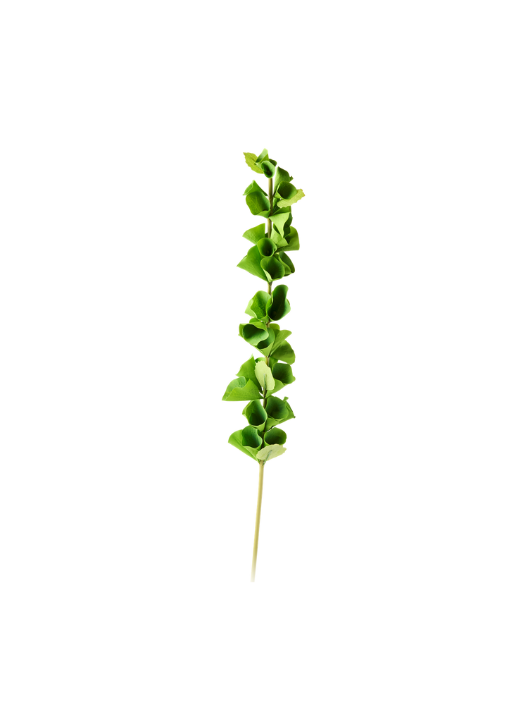 Artificial molucella flower