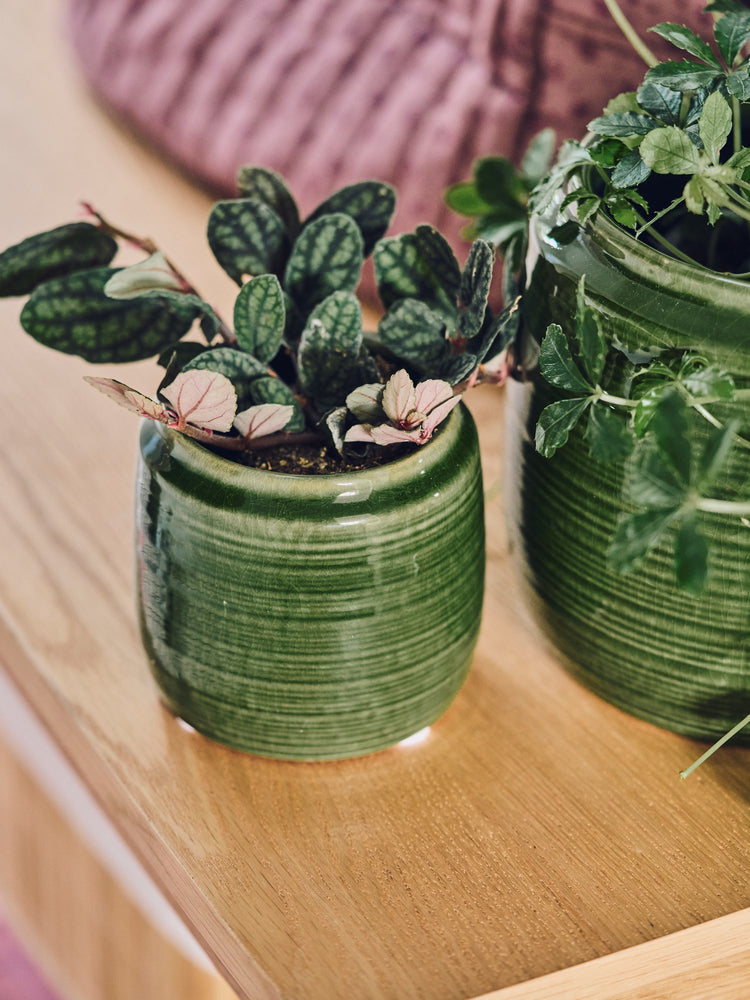 Flowerpot