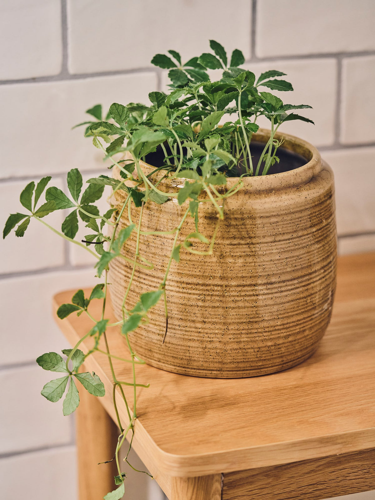 Flowerpot