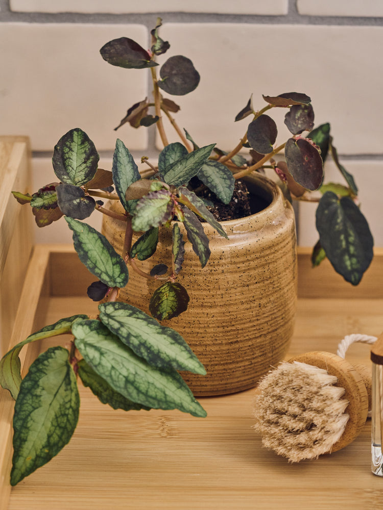 Flowerpot