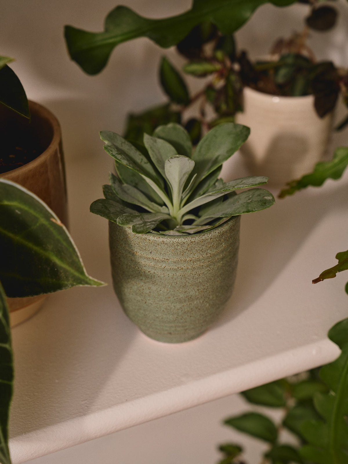 Flowerpot
