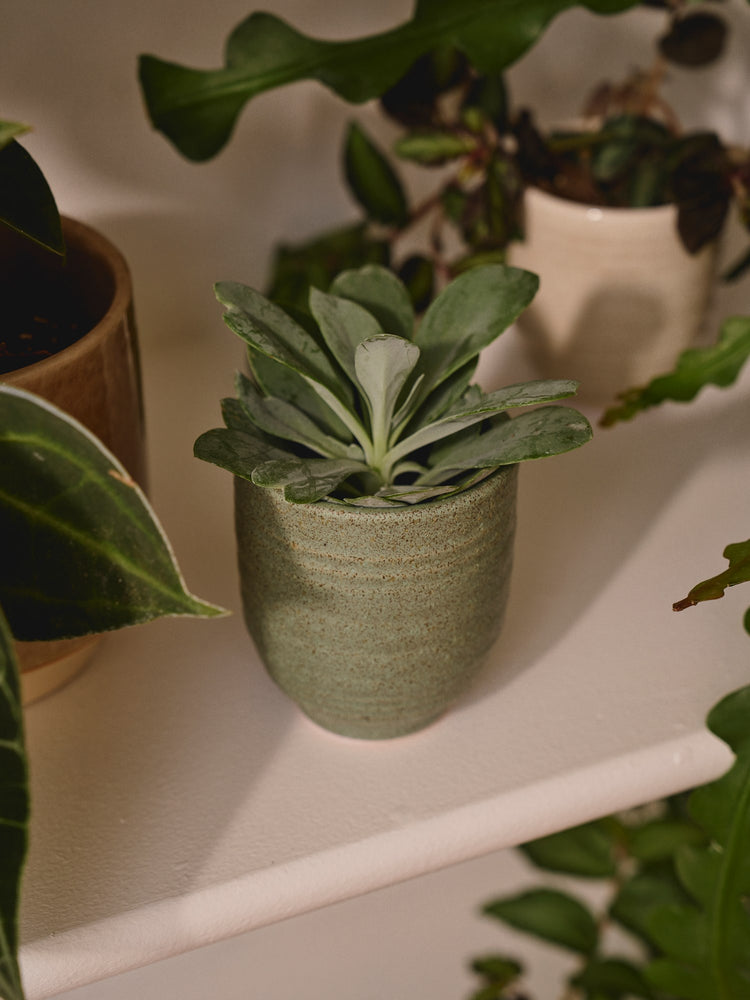 Flowerpot