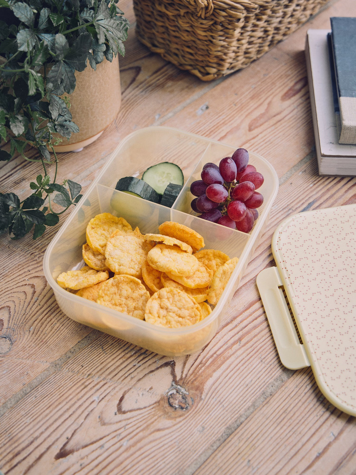 Lunch box floral