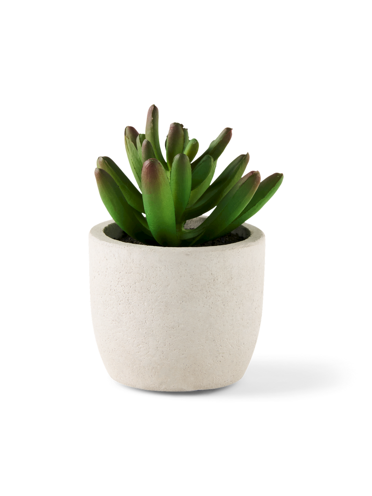 Artificial succulent in pot