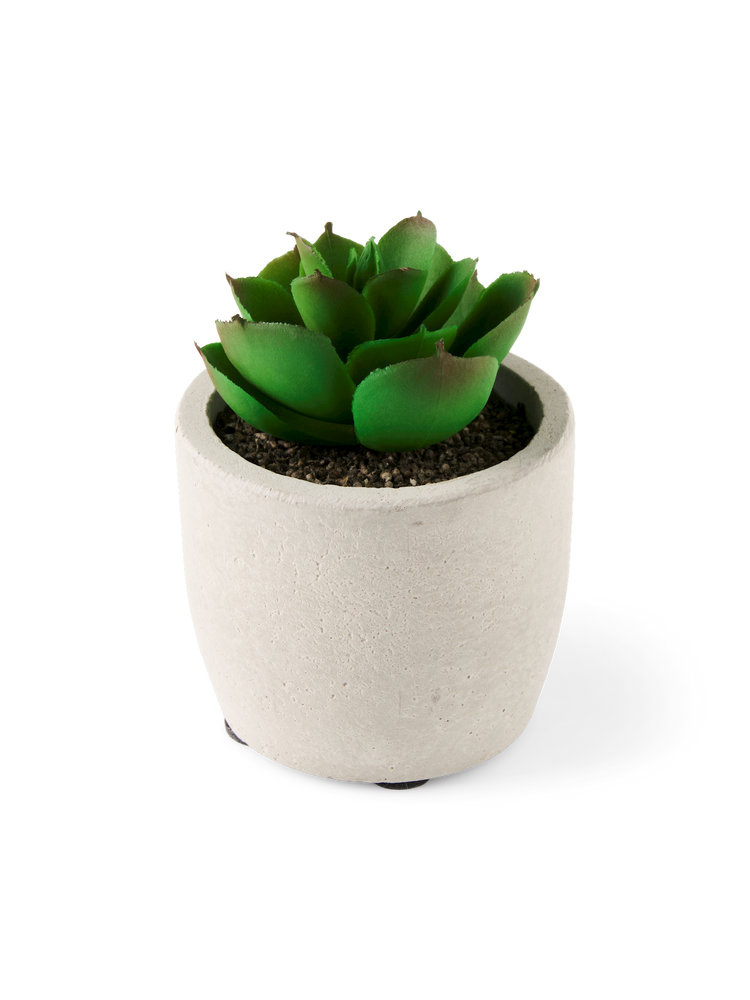 Artificial succulent in pot