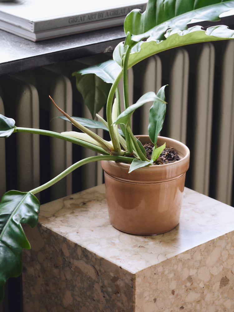 Flowerpot