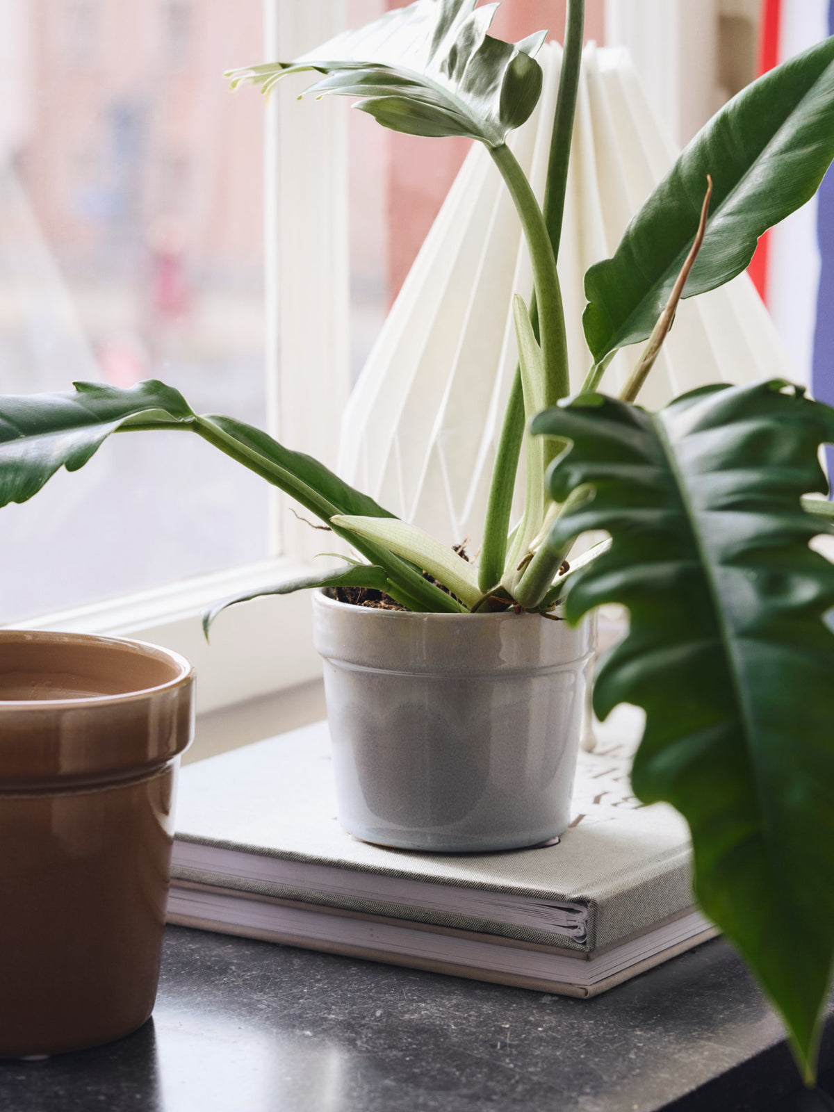 Flowerpot