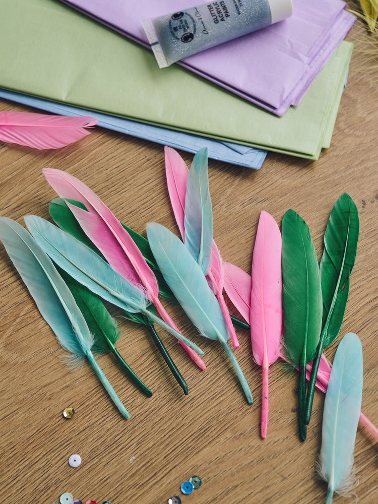 Goose feathers