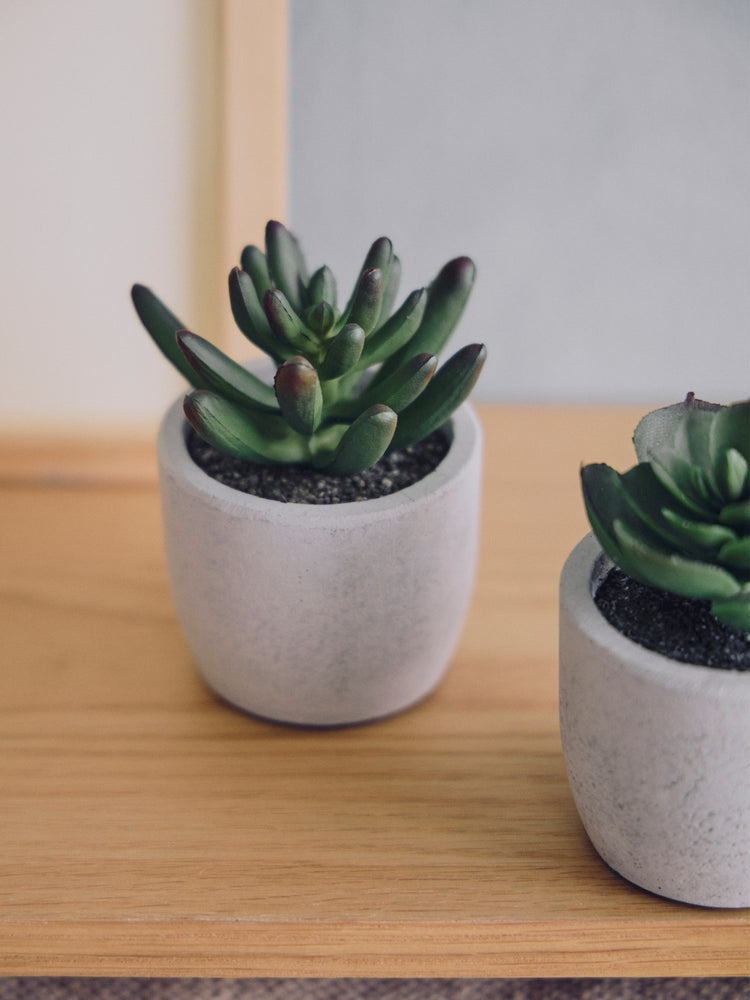 Artificial succulent in pot