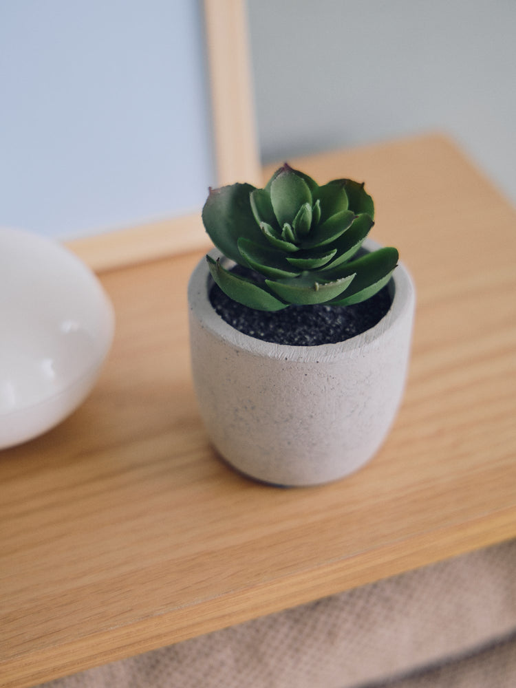 Artificial succulent in pot