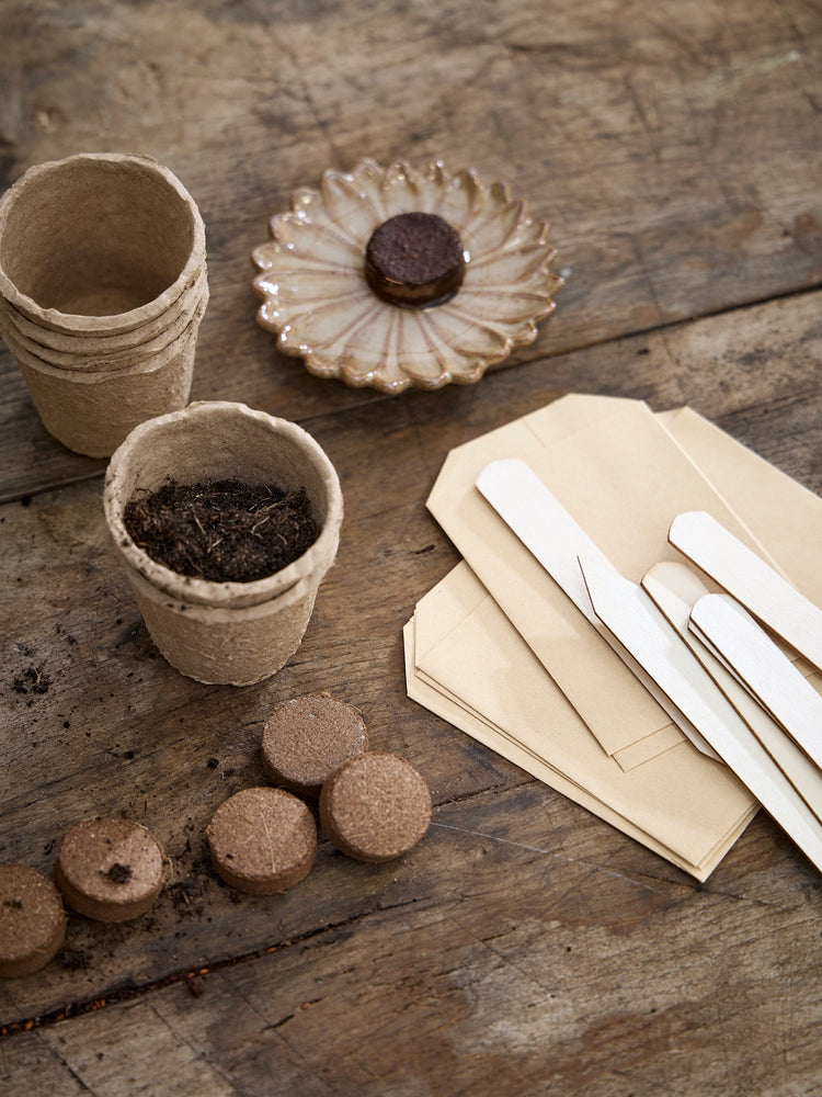 Seed starter kit