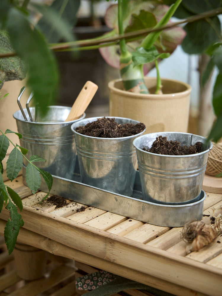 Flowerpots with tray