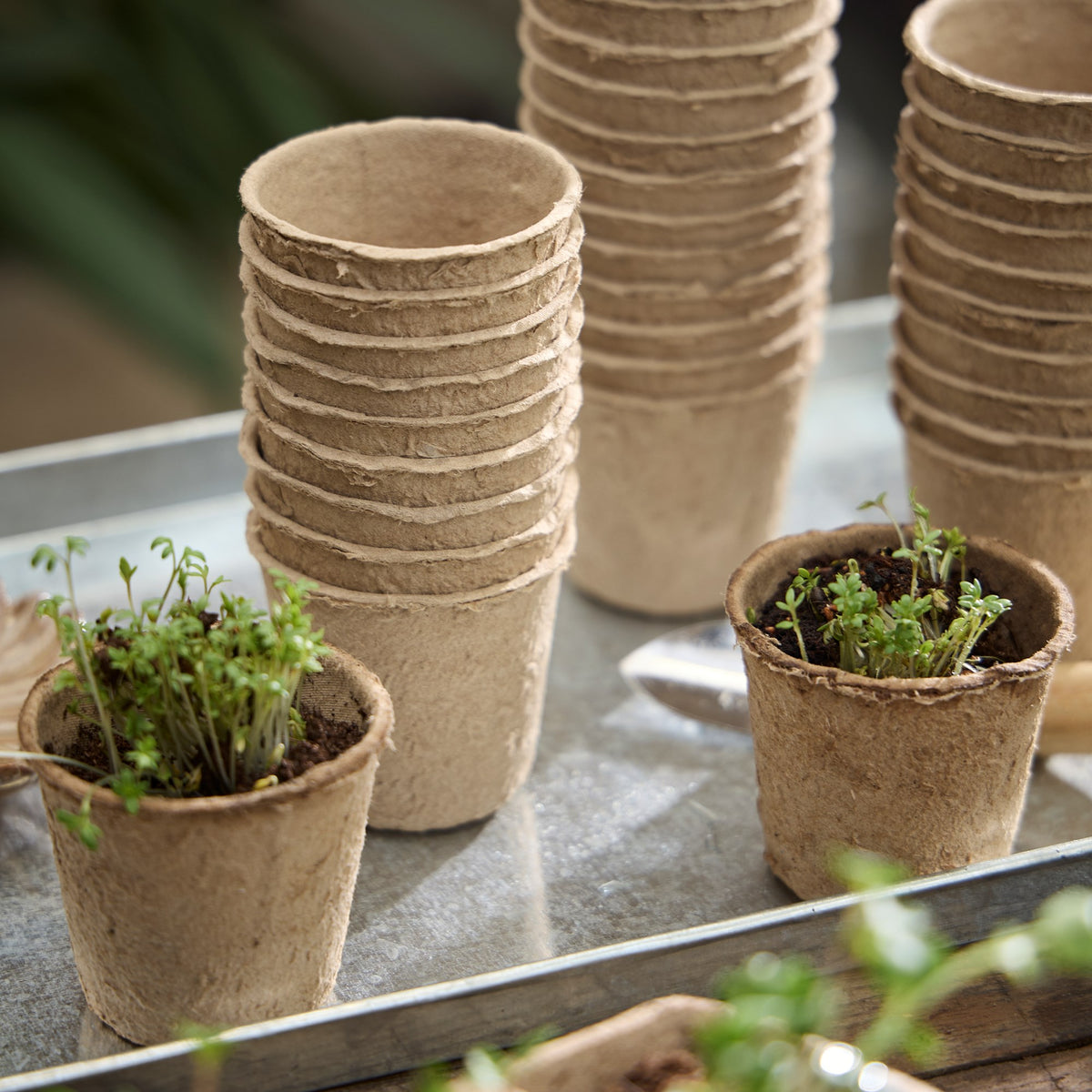 Seedling pots