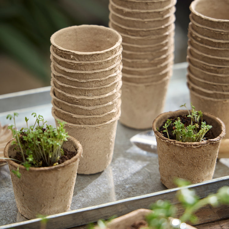 Seedling pots