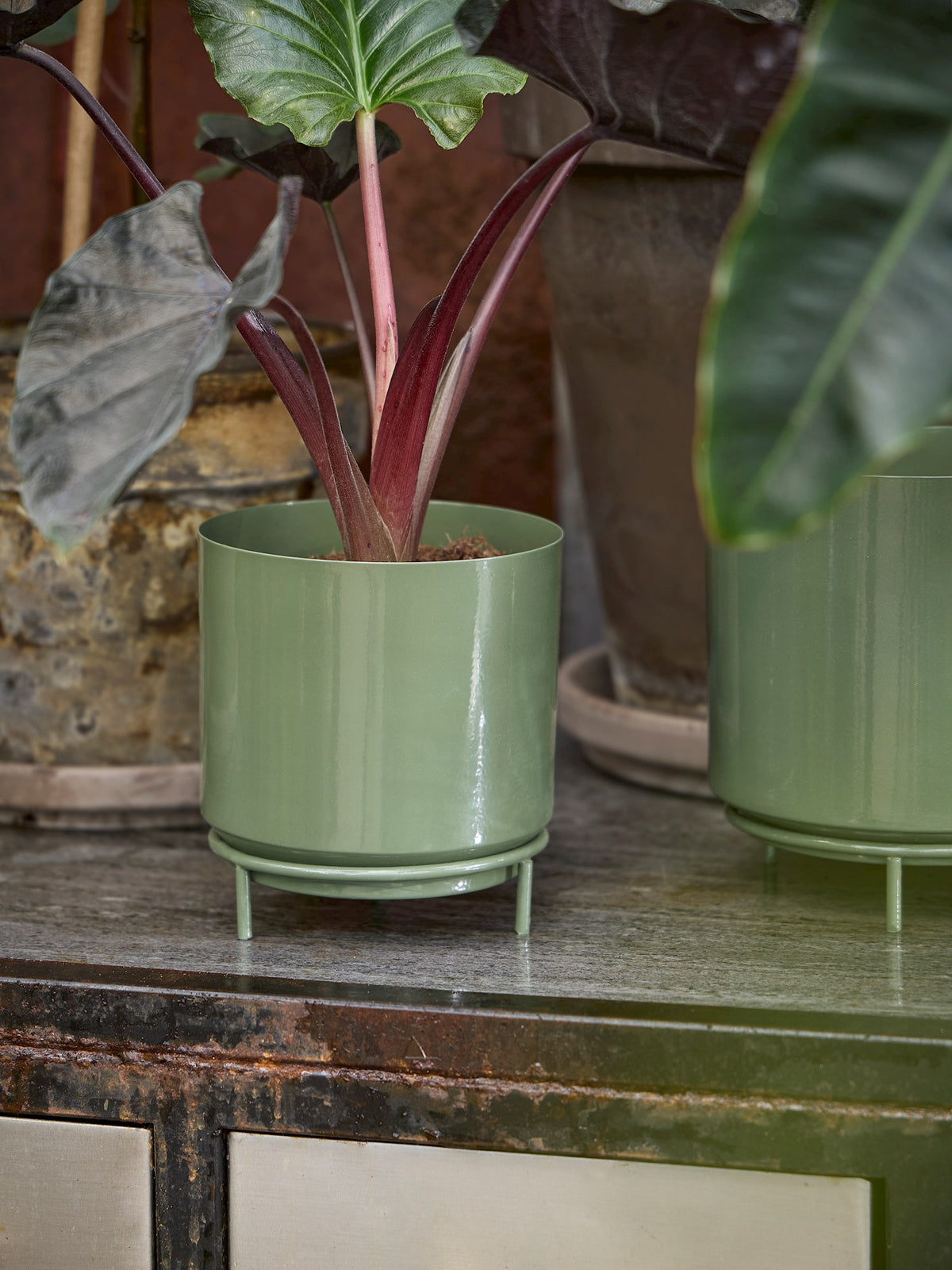 Flowerpot
