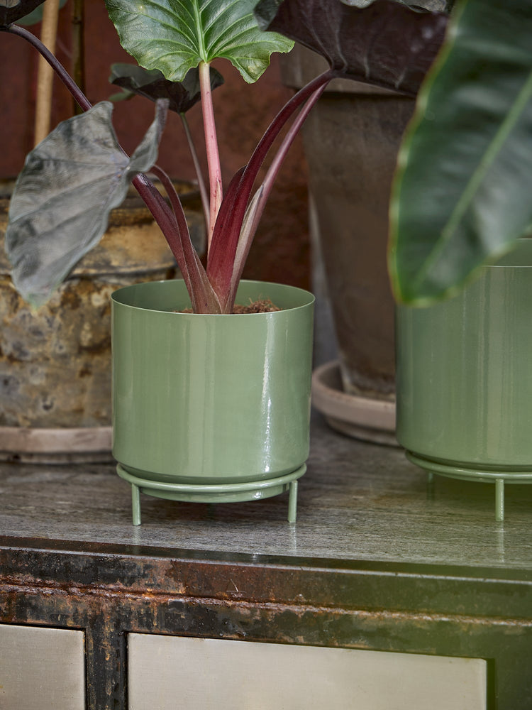 Flowerpot