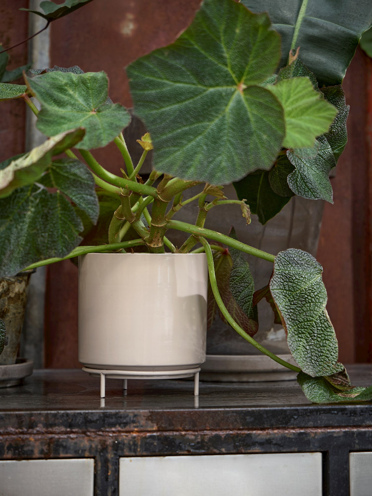 Flowerpot