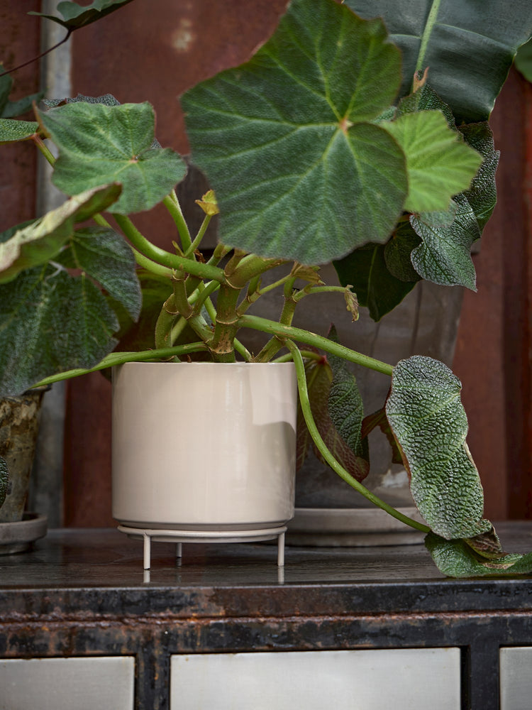 Flowerpot