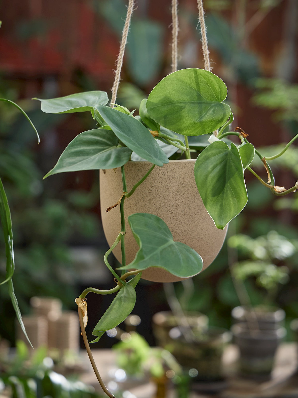 Hanging flowerpot