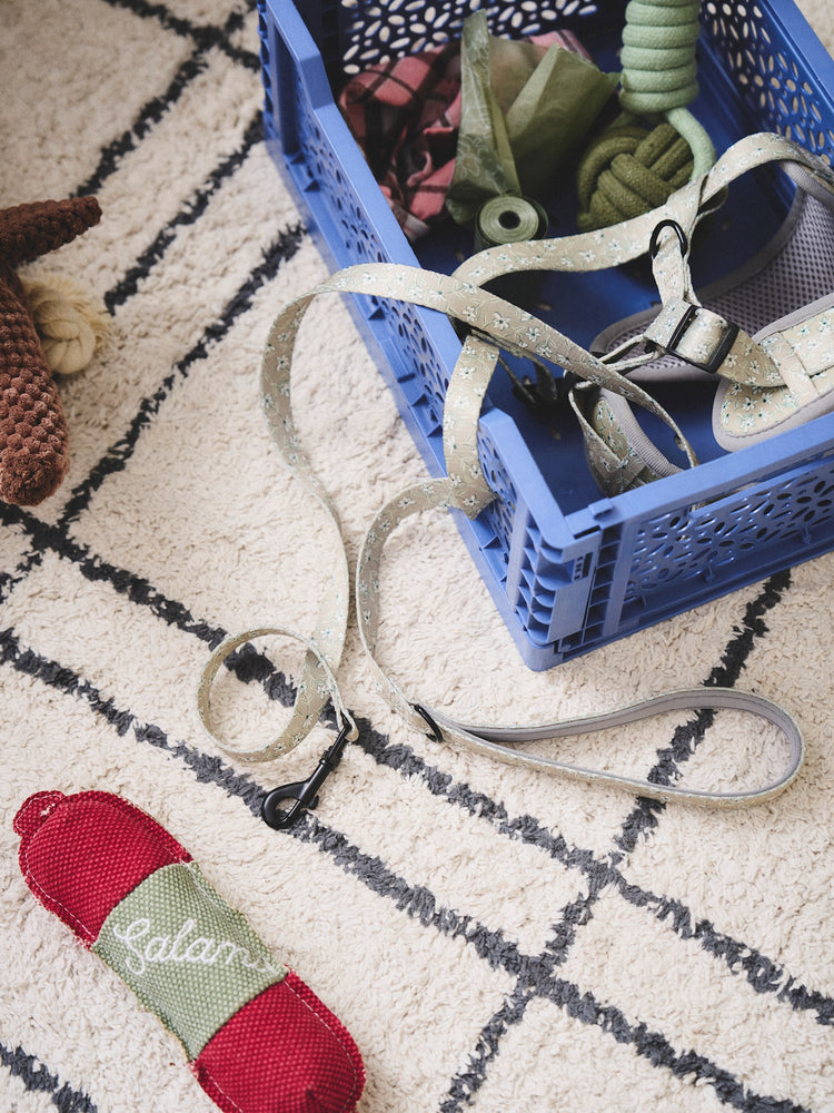 Dog lead