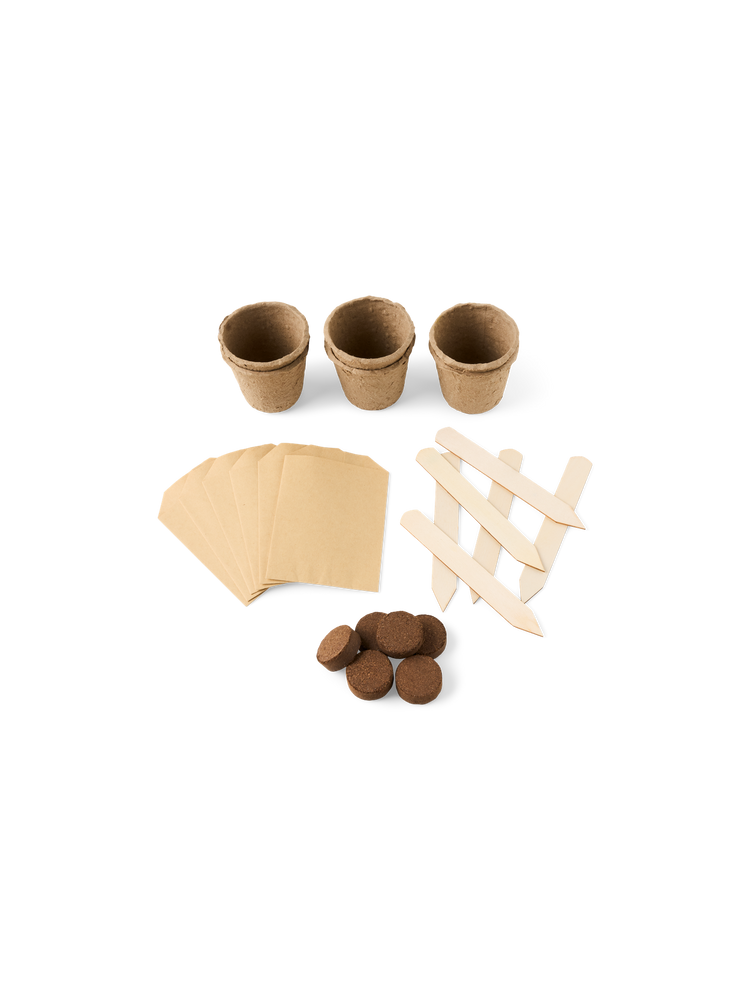 Seed starter kit