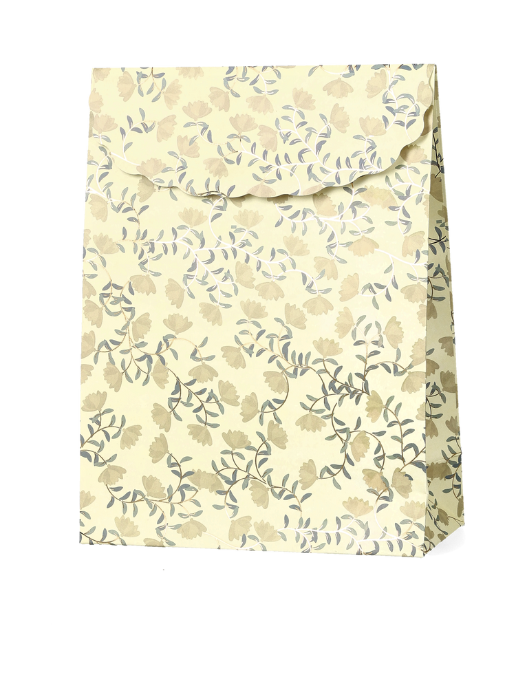 Envelope gift bag